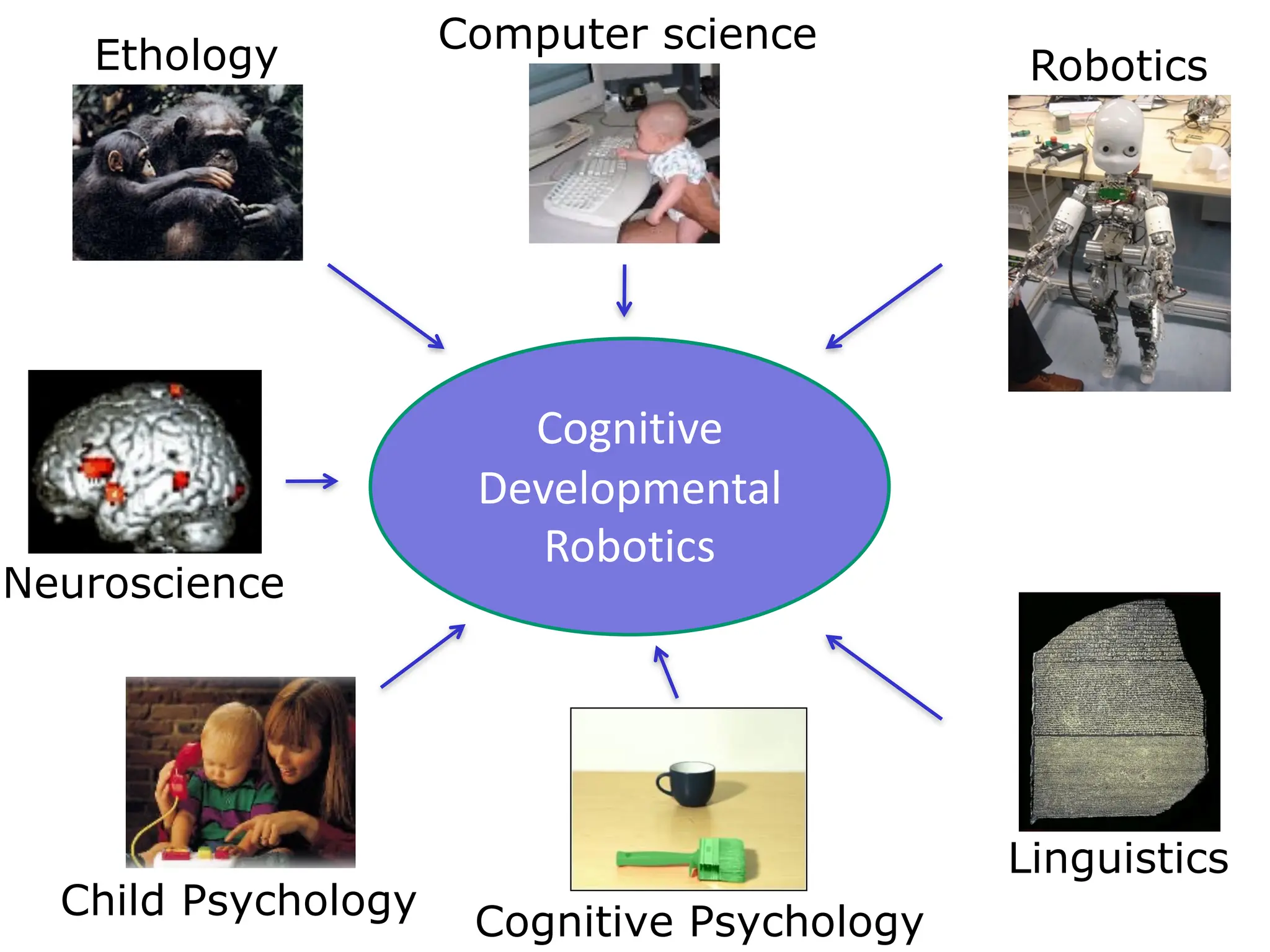 Cognitive
Developmental
Robotics
Child Psychology
Linguistics
Ethology Robotics
Neuroscience
Cognitive Psychology
Computer science
 