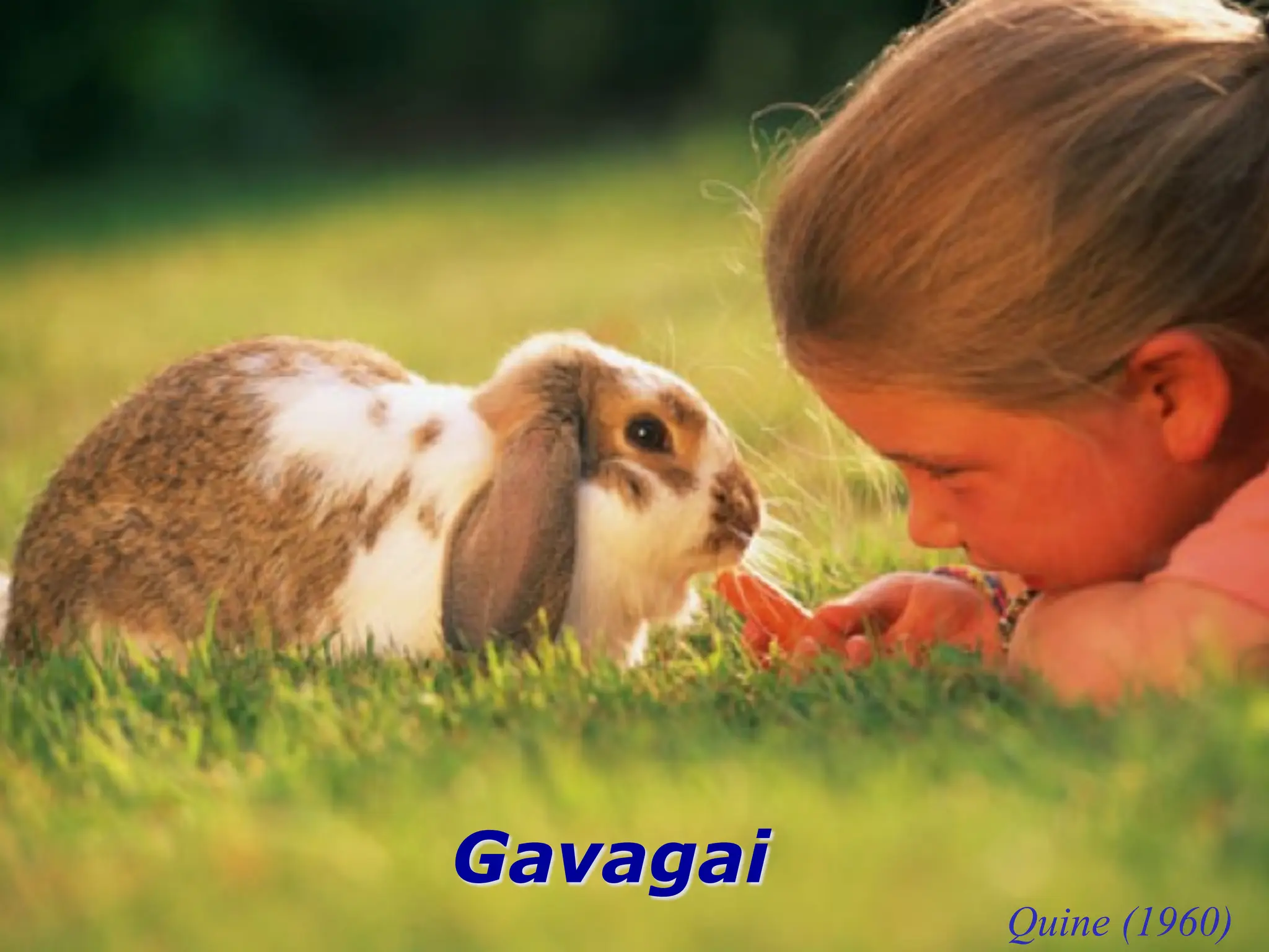 What are the mechanisms and constraints
(biases, cues)
supporting cognitive development?
How is embodiment involved in
language acquisition?
The “Body as Cognitive Hub” Hypothesis
(Smith 2010; Morse et al. 2011)
Gavagai
Quine (1960)
 