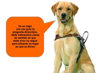 Se un cego  con can guía te pregunta direccións,  dálle indicacións claras do sentido en que  debe xirar ou seguir para si...