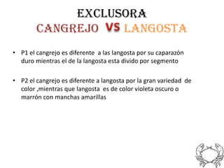 EXCLUSORA
        cangrejo   langosta
• P1 el cangrejo es diferente a las langosta por su caparazón
  duro mientras el de la langosta esta divido por segmento

• P2 el cangrejo es diferente a langosta por la gran variedad de
  color ,mientras que langosta es de color violeta oscuro o
  marrón con manchas amarillas
 