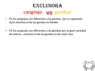 EXCLUSORA
              cangrejo   gambas
• P1 los cangrejos son diferentes a las gambas por su caparazón
  duro mientras el de las gambas es flexible

• P2 los cangrejos son diferentes a las gambas por su gran variedad
  de colores , mientras el de las gambas es de color rosa
 