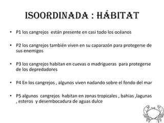 ISOORDINADA : hábitat
• P1 los cangrejos están presente en casi todo los océanos

• P2 los cangrejos también viven en su caparazón para protegerse de
  sus enemigos

• P3 los cangrejos habitan en cuevas o madrigueras para protegerse
  de los depredadores

• P4 En los cangrejos , algunos viven nadando sobre el fondo del mar

• P5 algunos cangrejos habitan en zonas tropicales , bahias ,lagunas
  , esteros y desembocadura de aguas dulce
 