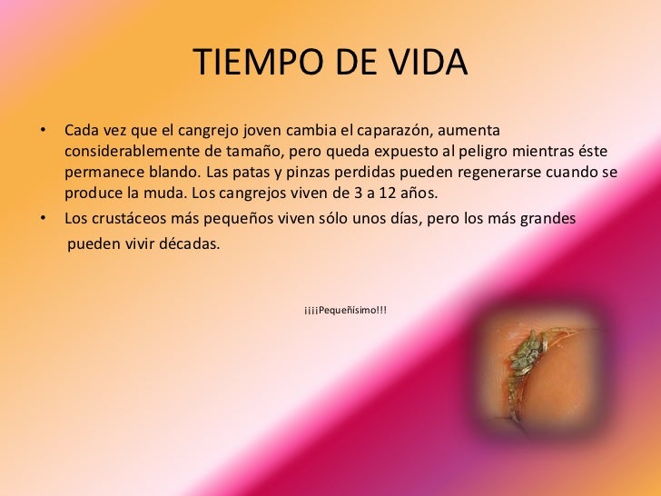 Cangrejos