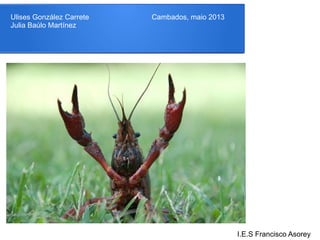 Ulises González Carrete Cambados, maio 2013
Julia Baúlo Martínez
I.E.S Francisco Asorey
 