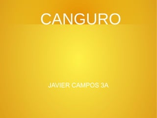 CANGURO
JAVIER CAMPOS 3A
 