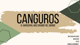CANGUROS
El marsupial más grande del mundo
MATTHEW PALACIOS
DIEGO RUIZ
5TO°B
DENISSE HERNÁNDEZ
 