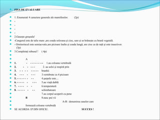  FISA DE EVALUARE


 1. Enumerati 4 caractere generale ale mamiferelor.           (2p)
 -
 -
 -
 -
 2.Gaseşte greşeala!
 -Cangurul este de talie mare ,are coada solzoasa şi cioc, sare şi se hrăneşte cu hrană vegetală.
 - Ornitorincul este semiacvatic,are picioare înalte şi coada lungă, are cioc ca de raţă şi este insectivor.
     (3p)
 3.Completaţi rebusul ! ( 4p)

               A
 1.             - - - - - - - - -- 1.au coloana vertebrală
 2.         - - ---               2. au solzi şi respiră prin
 3. - - - - - - - - - branhii
 4. - - - - - - -               3.vertebrate cu 4 picioare
 5. - - - - - - - - -           4.şarpele este....
 6. - - - - - -     ---         5.au viaţă dublă
 7. - - - - - -                 6.temperatură
 8. - - - - - -     --          schimbatoare
                                7.au corpul acoperit cu pene
               B                8.nasc pui vii
                                                      A-B : denumirea oaselor care
               formează coloana vertebrală
 SE ACORDA 1P DIN OFICIU.                                              SUCCES !
 