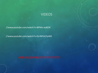 VIDEOS
//www.youtube.com/watch?v=BPMo-ao8Zi4
//www.youtube.com/watch?v=ZsrNPmCFpW0
ARE LAUGHING!!!!!!!!!!!!!!!!!!!!