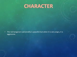 • The red kangaroo’s personality is peaceful but when it is very angry, it is
aggressive.