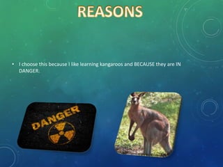 • I choose this because I like learning kangaroos and BECAUSE they are IN
DANGER.