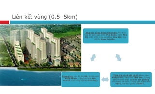 Liên kết vùng (0.5 -5km)
 