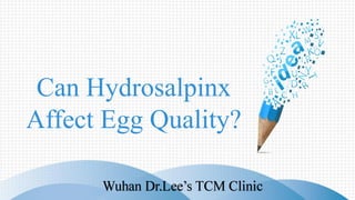 Can Hydrosalpinx
Affect Egg Quality?
 