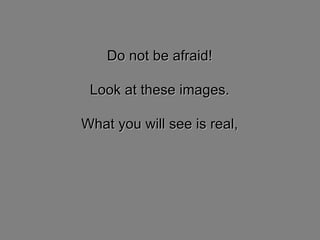 Do not be afraid! Look at these images. What you will see is real, 