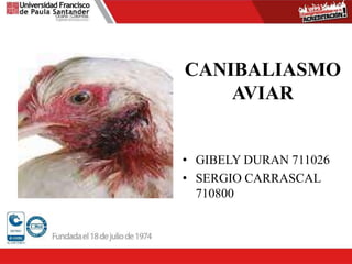 CANIBALIASMO
AVIAR
• GIBELY DURAN 711026
• SERGIO CARRASCAL
710800
 