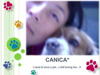 CANICA*
I used to have a pet…I still loving her…♥
 