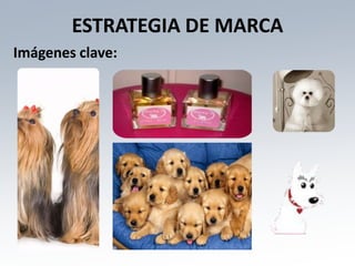 ESTRATEGIA DE MARCA
Imágenes clave:
 