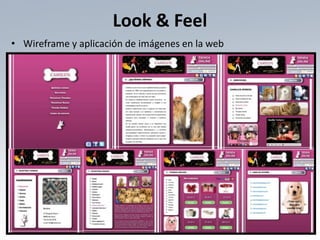 Look & Feel
• Wireframe y aplicación de imágenes en la web
 