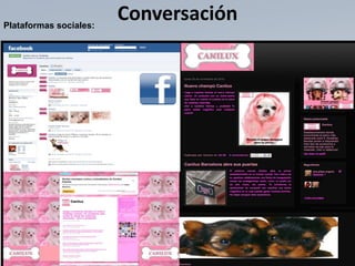 Plataformas sociales:
                        Conversación
 