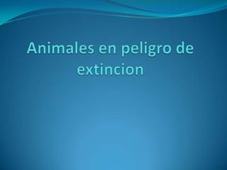 Animales en peligro de extincion 