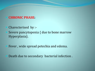  CHRONIC PHASE:
 Charecterised by :-
 Severe pancytopenia { due to bone marrow
Hyperplasia}.
 Fever , wide spread petechia and edema.
 Death due to secondary bacterial infection .
 