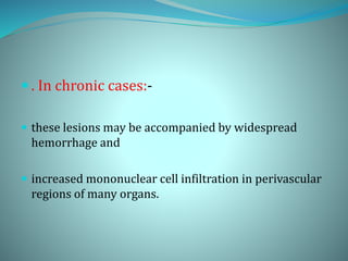  . In chronic cases:-
 these lesions may be accompanied by widespread
hemorrhage and
 increased mononuclear cell infiltration in perivascular
regions of many organs.
 