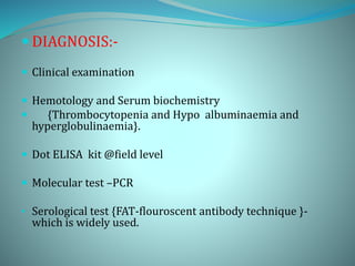  DIAGNOSIS:-
 Clinical examination
 Hemotology and Serum biochemistry
 {Thrombocytopenia and Hypo albuminaemia and
hyperglobulinaemia}.
 Dot ELISA kit @field level
 Molecular test –PCR
• Serological test {FAT-flouroscent antibody technique }-
which is widely used.
 