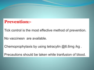 Prevention:-
Tick control is the most effective method of prevention.
No vaccinesn are available.
Chemoprophylaxis by using tetracylin @6.6mg /kg .
Precautions should be taken while tranfusion of blood.
 