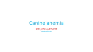Canine anemia
DR.T.MAGEJA,BVSc,UZ
CANINE MEDICINE
 