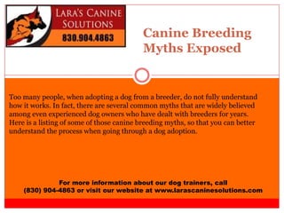Canine Breeding
Myths Exposed
For more information about our dog trainers, call
(830) 904-4863 or visit our website at www.larascaninesolutions.com
Too many people, when adopting a dog from a breeder, do not fully understand
how it works. In fact, there are several common myths that are widely believed
among even experienced dog owners who have dealt with breeders for years.
Here is a listing of some of those canine breeding myths, so that you can better
understand the process when going through a dog adoption.
 