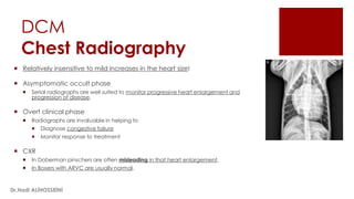 Canine Cardiomyopathy | PDF