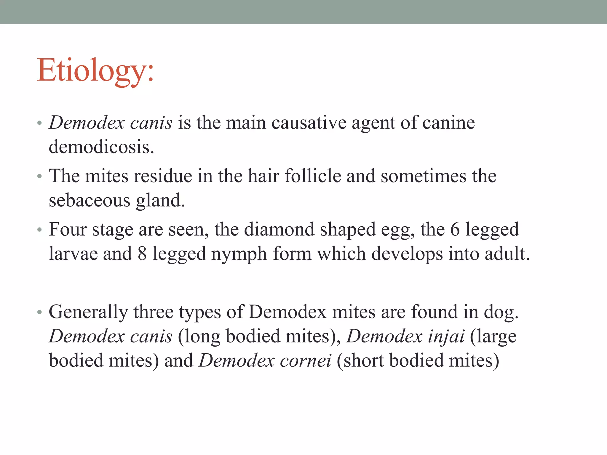 Etiology:
• Demodex canis is the main causative agent of canine
demodicosis.
• The mites residue in the hair follicle and sometimes the
sebaceous gland.
• Four stage are seen, the diamond shaped egg, the 6 legged
larvae and 8 legged nymph form which develops into adult.
• Generally three types of Demodex mites are found in dog.
Demodex canis (long bodied mites), Demodex injai (large
bodied mites) and Demodex cornei (short bodied mites)
 