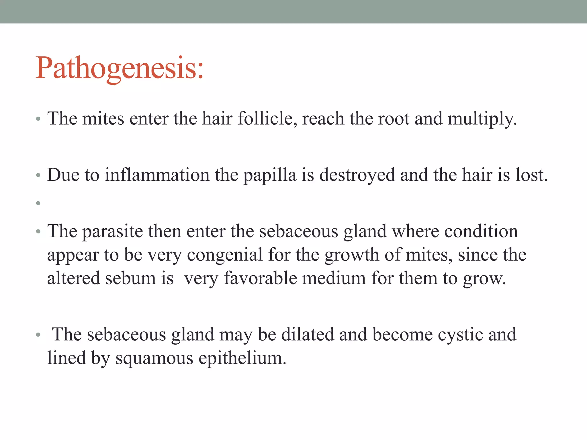 Pathogenesis:
• The mites enter the hair follicle, reach the root and multiply.
• Due to inflammation the papilla is destroyed and the hair is lost.
•
• The parasite then enter the sebaceous gland where condition
appear to be very congenial for the growth of mites, since the
altered sebum is very favorable medium for them to grow.
• The sebaceous gland may be dilated and become cystic and
lined by squamous epithelium.
 