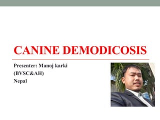 CANINE DEMODICOSIS
Presenter: Manoj karki
(BVSC&AH)
Nepal
 