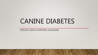 CANINE DIABETES
ETIOLOGY, SIGNS & SYMPTOMS, & DIAGNOSIS
 