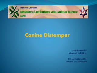 Canine Distemper
Submitted by:
Ganesh Adhikari
To: Department of
Veterinary Medicine
 