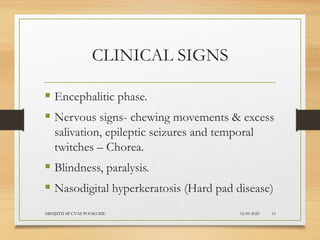 CLINICAL SIGNS
 Encephalitic phase.
 Nervous signs- chewing movements & excess
salivation, epileptic seizures and temporal
twitches – Chorea.
 Blindness, paralysis.
 Nasodigital hyperkeratosis (Hard pad disease)
12-09-2020ABHIJITH SP CVAS POOKODE 11
 