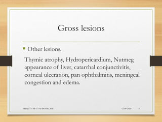 Gross lesions
 Other lesions.
Thymic atrophy, Hydropericardium, Nutmeg
appearance of liver, catarrhal conjunctivitis,
corneal ulceration, pan ophthalmitis, meningeal
congestion and edema.
12-09-2020ABHIJITH SP CVAS POOKODE 15
 