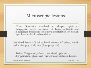Microscopic lesions
• Skin- Dermatitis confined to deeper epidermis
(Malpighian layer). Formation of Intracytoplasmic and
intranuclear inclusions. Extensive proliferation of keratin
layer leads to hard pad condition.
Lymphoid tissues – T cell & B cell necrosis of spleen, lymph
nodes. Atrophy of thymus ( Lymphopenia).
• Retina- Congestion, edema, neuritis of optic nerve,
demyelination, gliosis and formation of inclusion bodies.
24-09-2020ABHIJITH SP CVAS POOKODE 18
 