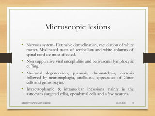 Microscopic lesions
• Nervous system- Extensive demyelination, vacuolation of white
matter. Myelinated tracts of cerebellum and white columns of
spinal cord are most affected.
• Non suppurative viral encephalitis and perivascular lymphocytic
cuffing.
• Neuronal degeneration, pyknosis, chromatolysis, necrosis
followed by neuronophagia, satellitosis, appearance of Gitter
cells and gemistocytes.
• Intracytoplasmic & intranuclear inclusions mainly in the
astrocytes (targeted cells), ependymal cells and a few neurons.
24-09-2020ABHIJITH SP CVAS POOKODE 19
 