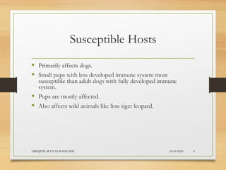 Susceptible Hosts
 Primarily affects dogs.
 Small pups with less developed immune system more
susceptible than adult dogs with fully developed immune
system.
 Pups are mostly affected.
 Also affects wild animals like lion tiger leopard.
24-09-2020ABHIJITH SP CVAS POOKODE 4
 
