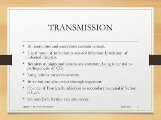 TRANSMISSION
 All secretions and excretions contain viruses.
 Usual route of infection is aerosol infection-Inhalation of
infected droplets.
 Respiratory signs and lesions are constant, Lung is central to
pathogenesis of CD.
 Lung lesions varies in severity.
 Infection can also occur through ingestion.
 Chance of Bordetella infection as secondary bacterial infection
is high.
 Salmonella infection can also occur.
24-09-2020ABHIJITH SP CVAS POOKODE 6
 