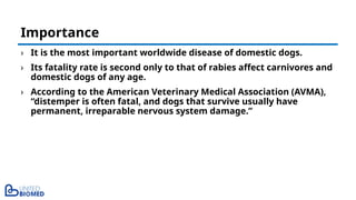 Canine Distemper in Pet Animals_Complete Review.pptx