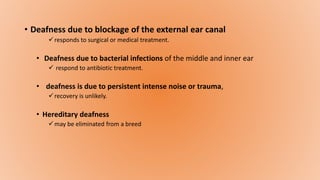 • Deafness due to blockage of the external ear canal
responds to surgical or medical treatment.
• Deafness due to bacterial infections of the middle and inner ear
 respond to antibiotic treatment.
• deafness is due to persistent intense noise or trauma,
recovery is unlikely.
• Hereditary deafness
may be eliminated from a breed
 