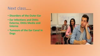 Next class…..
• Disorders of the Outer Ear
• Ear Infections and Otitis
Externa, Otitis Media and
Interna
• Tumours of the Ear Canal in
Dogs
 