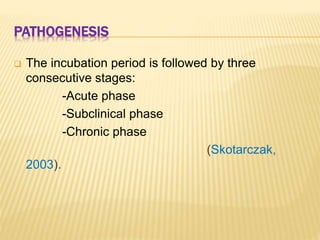 PATHOGENESIS
 The incubation period is followed by three
consecutive stages:
-Acute phase
-Subclinical phase
-Chronic phase
(Skotarczak,
2003).
 