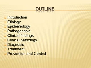 OUTLINE
 Introduction
 Etiology
 Epidemiology
 Pathogenesis
 Clinical findings
 Clinical pathology
 Diagnosis
 Treatment
 Prevention and Control
 