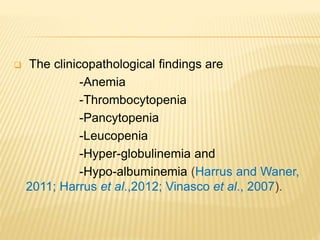  The clinicopathological findings are
-Anemia
-Thrombocytopenia
-Pancytopenia
-Leucopenia
-Hyper-globulinemia and
-Hypo-albuminemia (Harrus and Waner,
2011; Harrus et al.,2012; Vinasco et al., 2007).
 