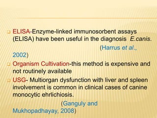  ELISA-Enzyme-linked immunosorbent assays
(ELISA) have been useful in the diagnosis E.canis.
(Harrus et al.,
2002)
 Organism Cultivation-this method is expensive and
not routinely available
 USG- Multiorgan dysfunction with liver and spleen
involvement is common in clinical cases of canine
monocytic ehrlichiosis.
(Ganguly and
Mukhopadhayay, 2008)
 