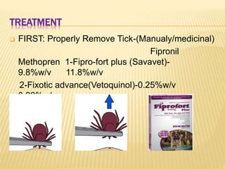 TREATMENT
 FIRST: Properly Remove Tick-(Manualy/medicinal)
Fipronil
Methopren 1-Fipro-fort plus (Savavet)-
9.8%w/v 11.8%w/v
2-Fixotic advance(Vetoquinol)-0.25%w/v
0.22%w/v
 