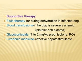  Supportive therapy
 Fluid therapy-for curing dehydration in infected dog.
 Blood transfusions-if the dog is severely anemic.
(platelet-rich plasma)
 Glucocorticoids-(1 to 2 mg/kg prednisolone, PO)
 Livertonic medicine-effective hepatostimulante
 
